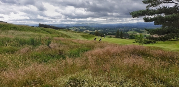 Seniors Team of Three Stableford